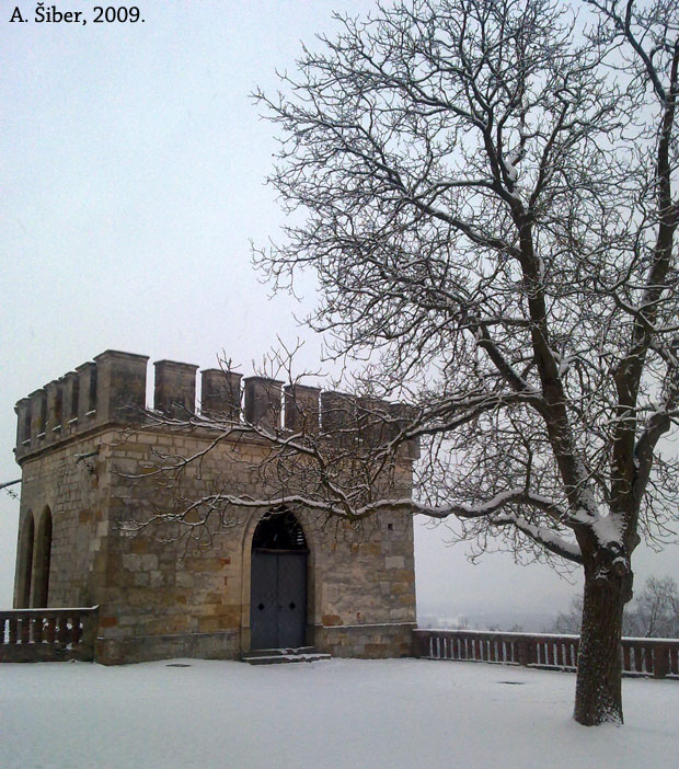 drvo, tree, castle, snow, snijeg, dvorac