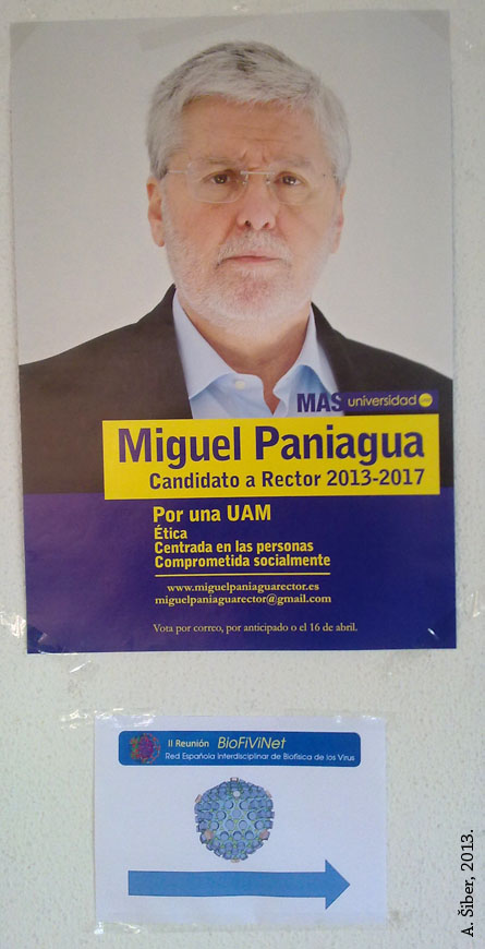 Izaberite rektora; predizborni plakat