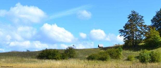 Čeka, Polane