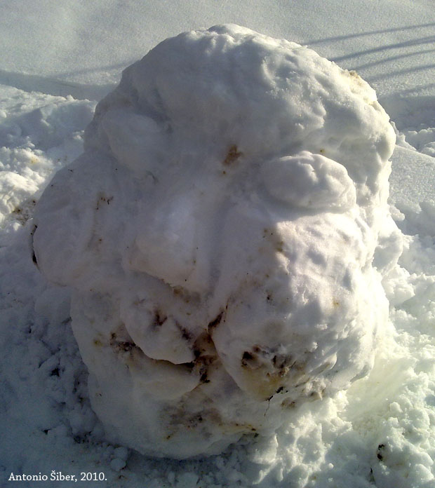 fotografija, skulptura, snijeg