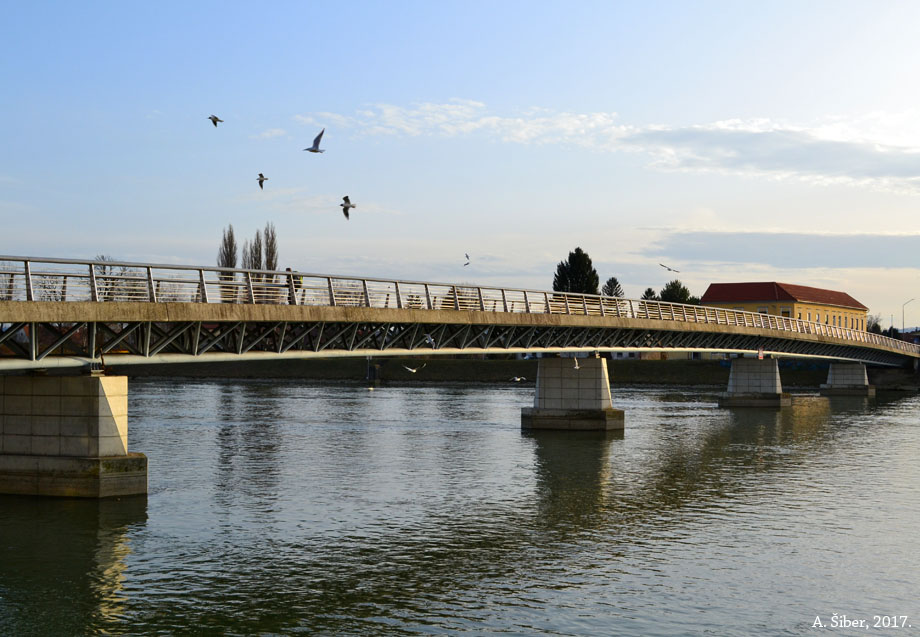 Ptuj, most