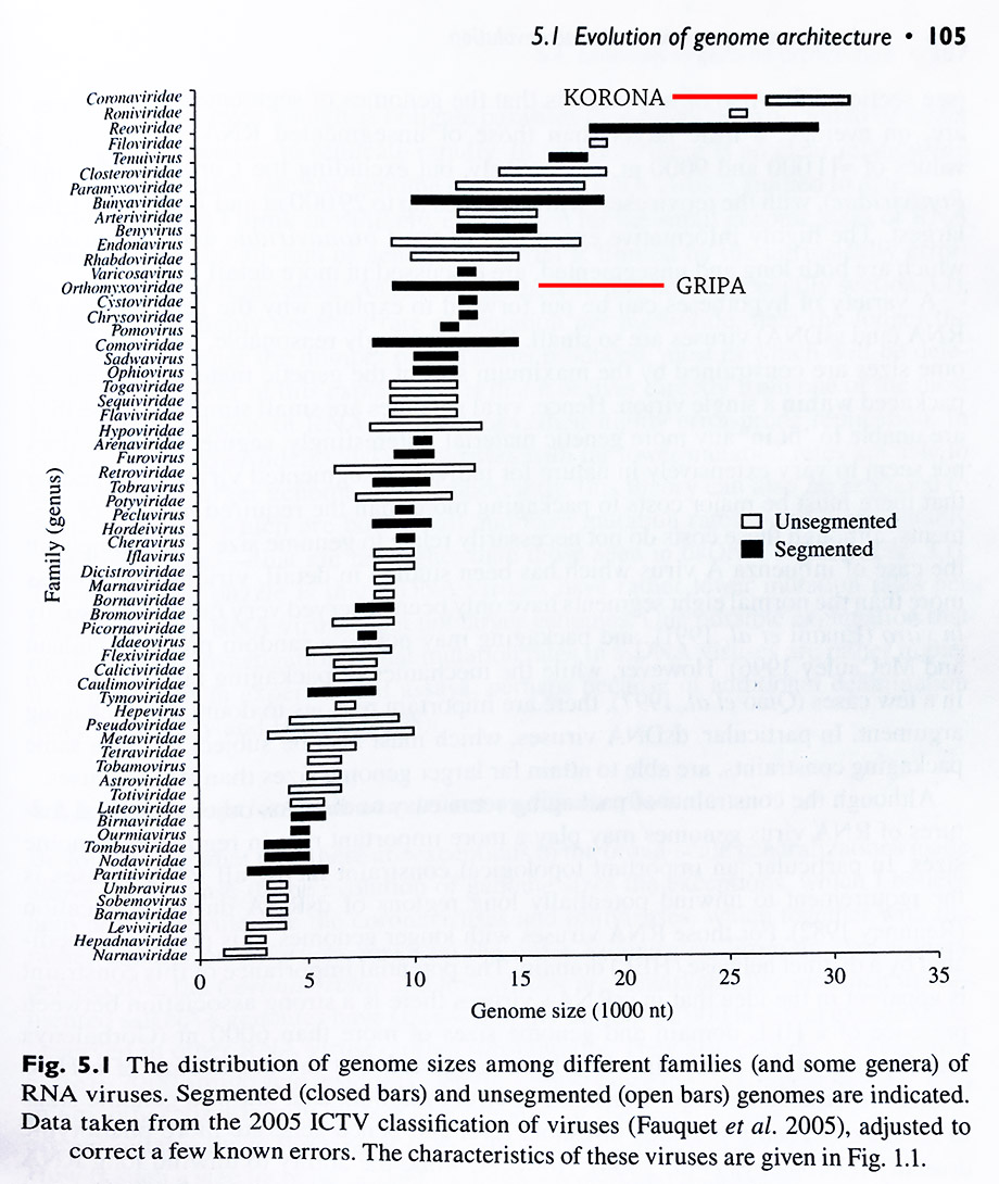 Grafikon iz Holmesove knjige koji prikazuje dužine genoma različitih obitelji RNA virusa