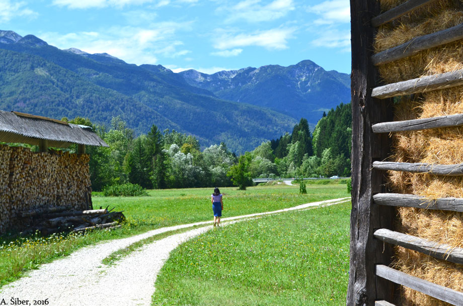 Bitnje, most