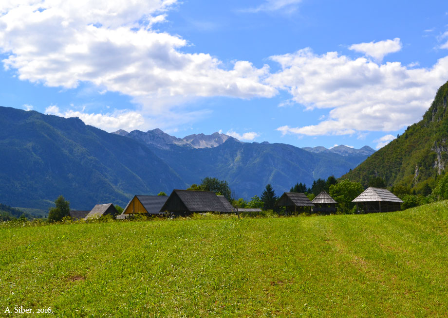 Pogled prema Srednjoj Vasi, Bohinj