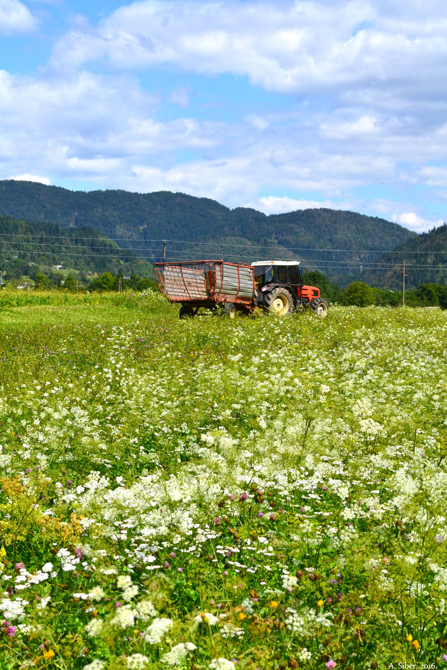 Srednja Vas, Bohinj, traktor