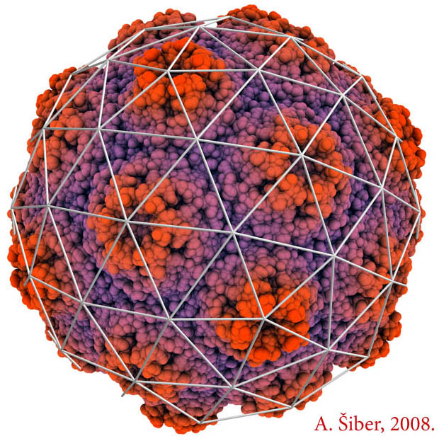 virus, geodesic dome, turnip yellow mosaic
