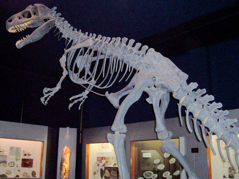 Alosaur