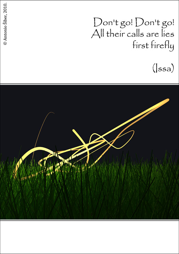 firefly, night, grass