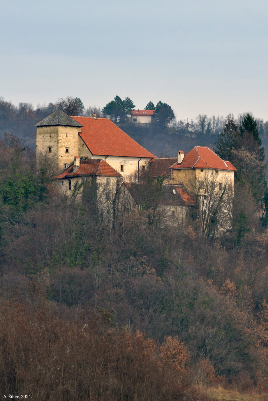 Dvorac u Slavetiću