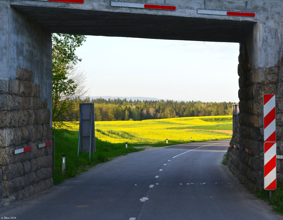 Bela krajina, cesta