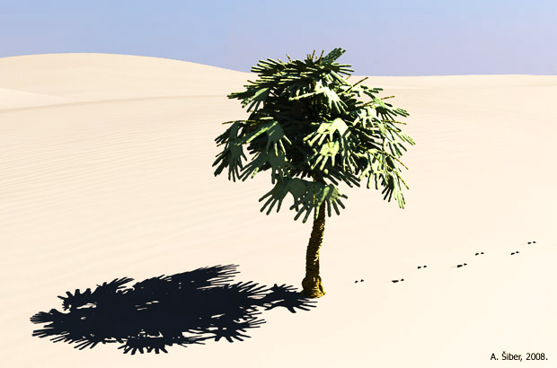 tree, hands, desert