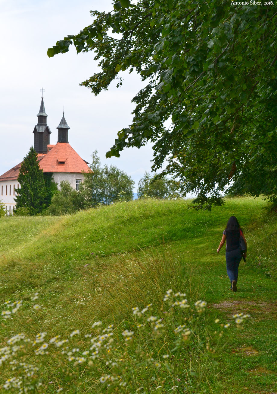 Škofja Loka, grad