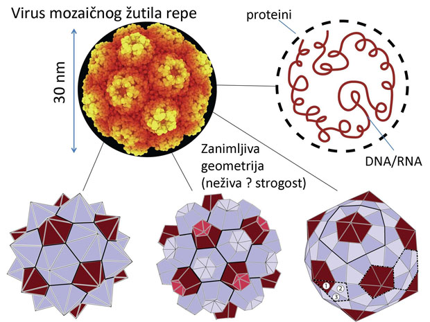 geometrija
