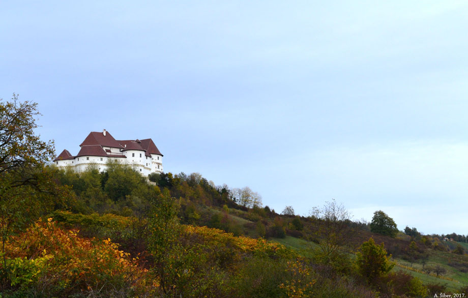 Dragonoš, kuće